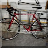 L25. Trek bicycle. 